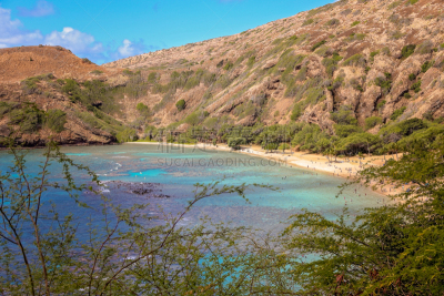 海滩,威基基,魔幻岛,美国,水平画幅,无人,檀香山,户外,珍珠港,库亚洛亚