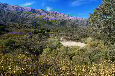 地形,自然,天空,美,阿根廷,旅游目的地,水平画幅,山,无人,全景