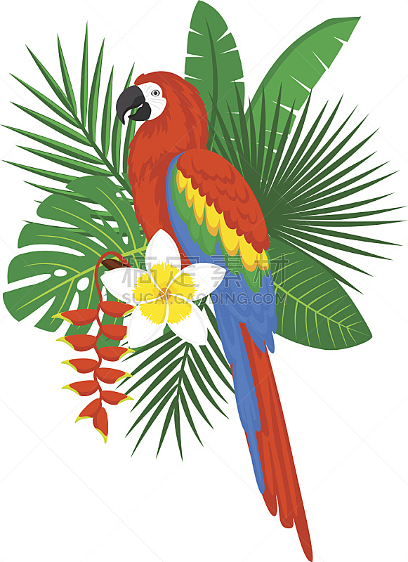 猩红色金刚鹦鹉,叶子,鸡尾酒,鹦鹉,垂直画幅,热带鸟,枝繁叶茂,绘画插图,鸟类,热带雨林