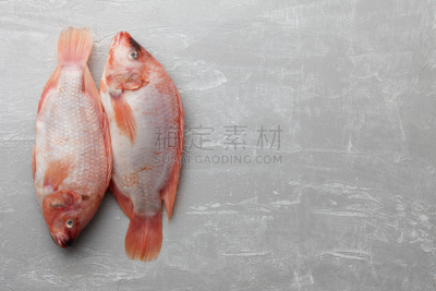 生食,鱼类,罗非鱼,红色,灰色背景,两个物体,留白,水平画幅,高视角,海产