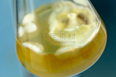 实验室,真菌,烧瓶,显微镜,生物科技,水平画幅,孢子,微生物学,科学实验,科学