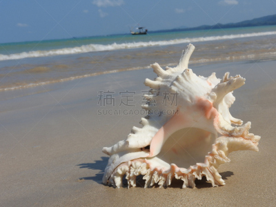 斯特兰德,自然,水,水平画幅,沙子,套色版,夏天,海岸地形,异国情调,户外