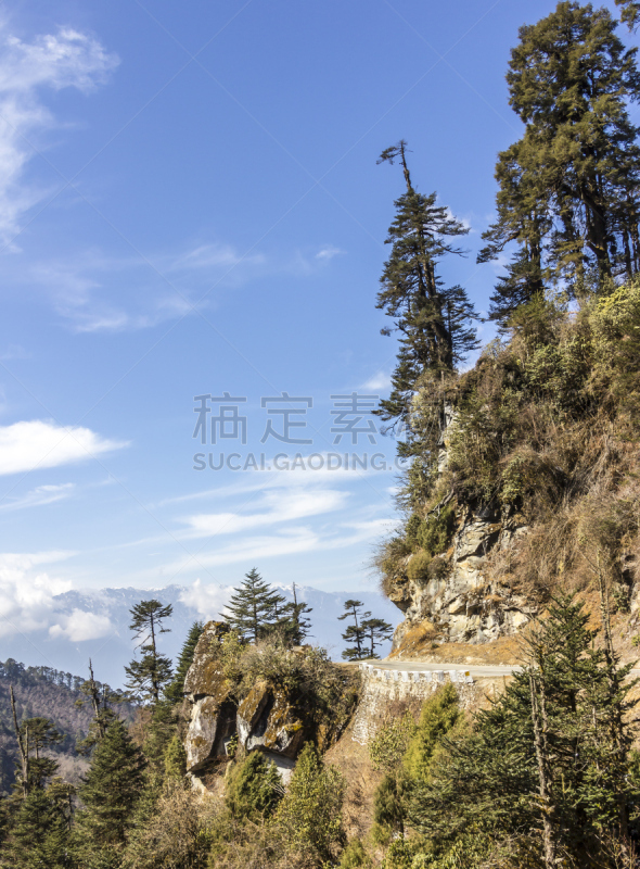 不丹,公路,国内著名景点,贾卡尔,普那卡,铁杉树,自然,垂直画幅,天空,地形