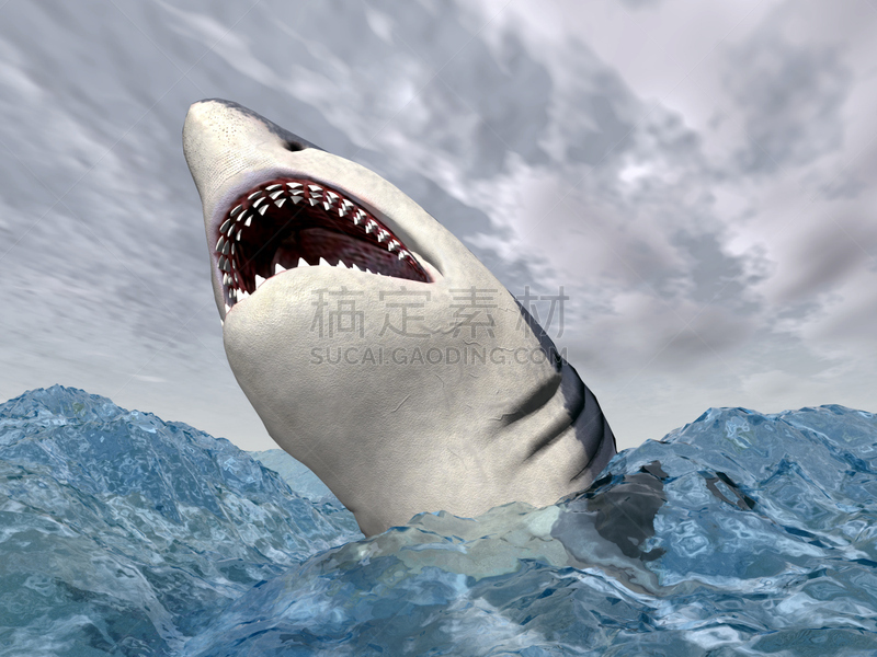 大白鲨,动物攻击,鲨鱼,自然,暴风雨,水平画幅,无人,绘画插图,海洋生命,海鱼