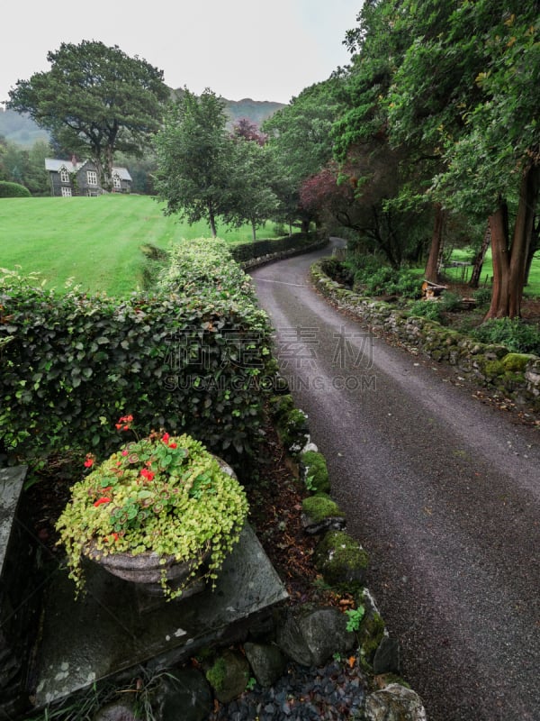 英格兰,英格兰湖区,荷姆斯泰德,波路达利,车道,湿,草坪,偏远的,古老的,一个物体