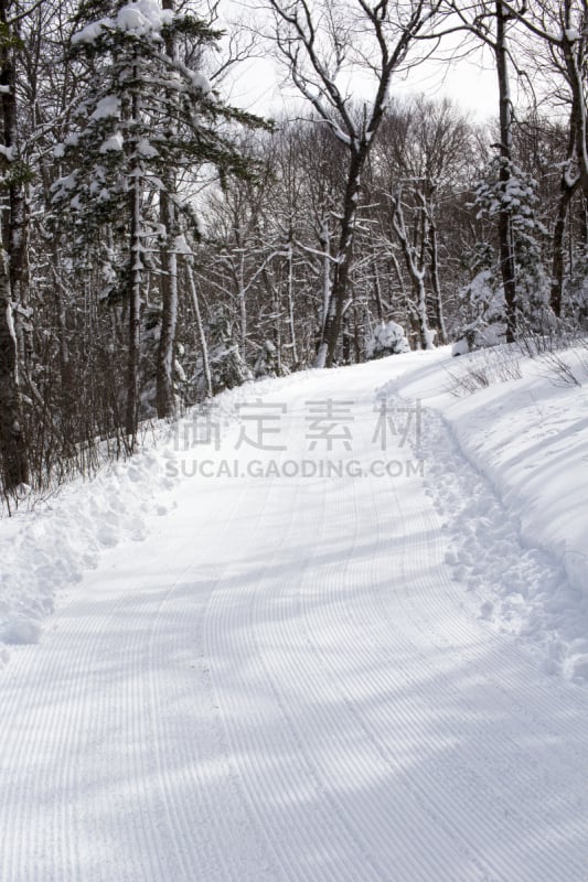 越野滑雪,滑雪痕,垂直画幅,都柏林,美国,山,雪,滑雪坡,户外,太阳