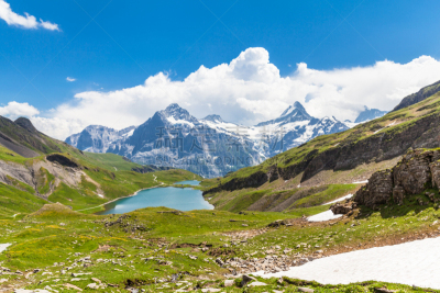 施雷克峰,威特洪山,格林德瓦,少女峰,水平画幅,雪,旅行者,夏天,湖,草