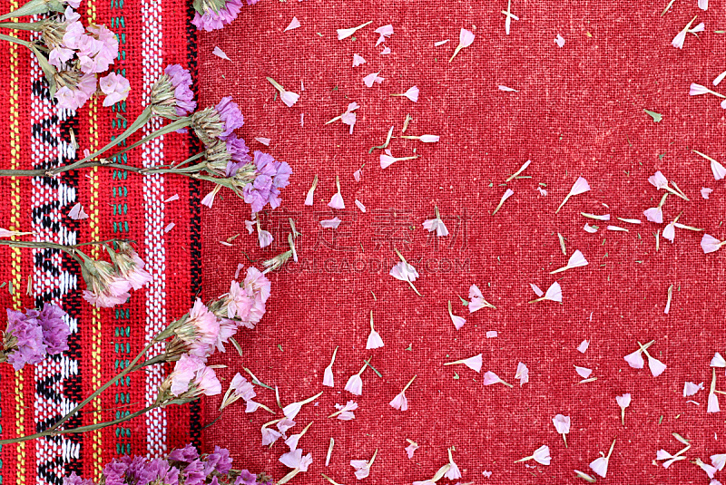 红色,仅一朵花,纺织品,自然美,草夹竹桃属,植物,水平画幅,无人,粉色,摄影