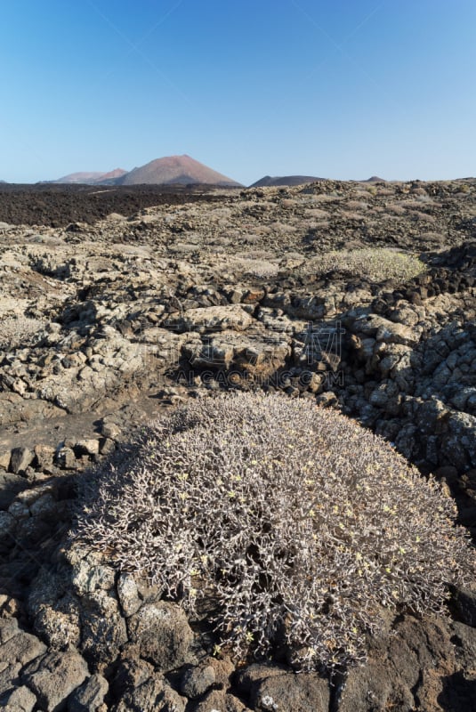 timanfaya national park,火山,兰萨罗特岛,垂直画幅,熔岩,无人,火山地形,大西洋群岛,户外,干旱地带