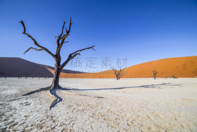 死亡谷,苏丝斯黎,纳米比亚,瑟斯瑞姆,自然,野生动物,水平画幅,沙子,无人,非洲