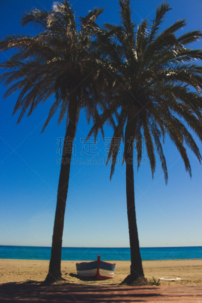 船,垂直画幅,水,天空,沙子,夏天,海岸地形,户外,棕榈树,海滩