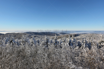 冬天,森林,乡村,早晨,冷,在雾中,山,公园,新的,水平画幅