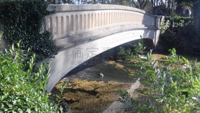 河流,桥,驯养动物,水,美,公园,水平画幅,枝繁叶茂,无人,鸟类