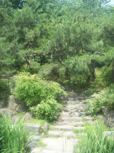 城市,首尔,韩国,垂直画幅,建筑,夜晚,无人,金融,城市天际线,南