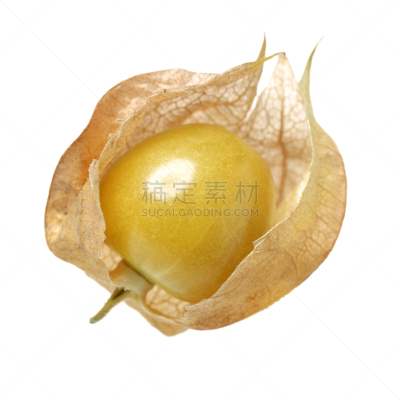 酸浆属,水果,白色背景,分离着色,灯笼果,宫灯百合,少量物体,维生素c,多汁的,热带水果