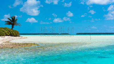 法属玻利尼西亚,荒岛,天空,美,褐色,风,水平画幅,云,沙子,椰子
