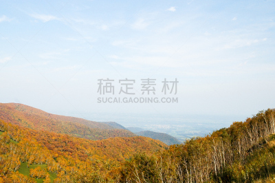 山口,叶子,秋天,日本,北海道,黑云杉,平原,日高山脉,带广,十圣县