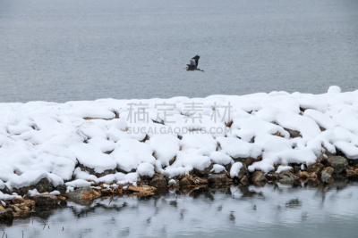 地形,冬天,自然,水,寒冷,舌头,水平画幅,雪,湿,冰
