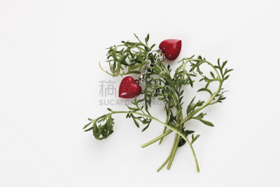 钥匙圈,植物,心型,玛咖,春药,护身符,水平画幅,异国情调,特写,顺势医学