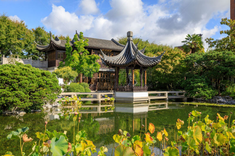 池塘,宝塔,波特兰,环绕立体声,东方石景花园,网线插头,著名景点,夏天,户外,天空