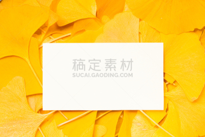 银杏,叶子,空白的,纸,背景,边框,水平画幅,消息,无人,叶脉