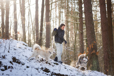 雪橇犬,男人,美,水平画幅,雪,美人,动物身体部位,户外,白人,厚衣服