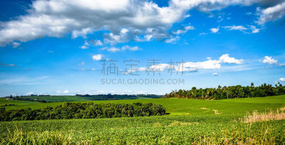 Countryside Landscapes in the Brazilian State of ParanÃ¡, Near the Cities of Cascavel and Toledo