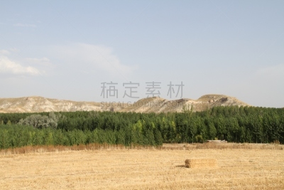 格拉纳达,水平画幅,无人,瓜迪克斯,安达卢西亚,夏天,紫花苜蓿,西班牙,摄影