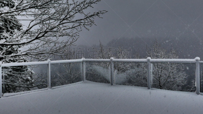 选择对焦,水平画幅,雪,无人,鸟类,户外,气候与心情,北美,秃树,栏杆