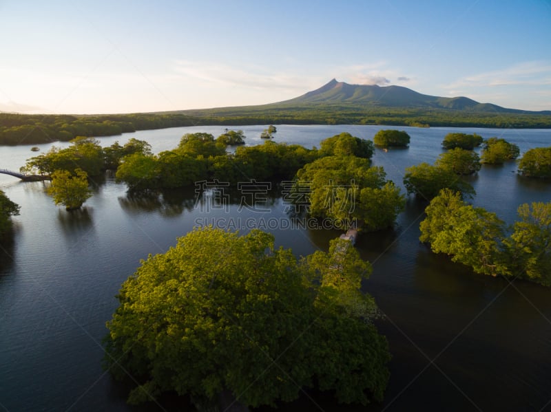 大沼湖,大沼国定公园,枝繁叶茂,湖,夏天,户外,天空,日本,火山,自然