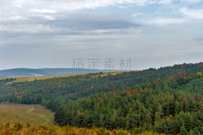 天空,风景,蓝色,森林,背景,美,水平画幅,云,无人,夏天