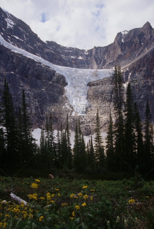 angel glacier,垂直画幅,大冰原,阿尔伯塔省,无人,户外,北美,彩色图片,山,艾迪斯卡佛山