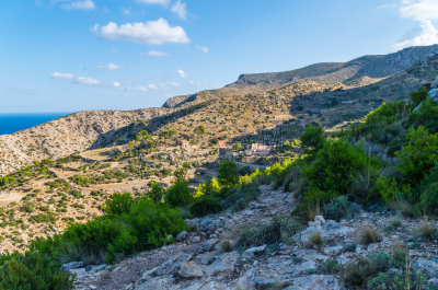 修道院,西班牙,马略卡,大丹狗,洛杉矶县,扎草,荸荠,sierra de tramuntana,巴利阿里群岛,水