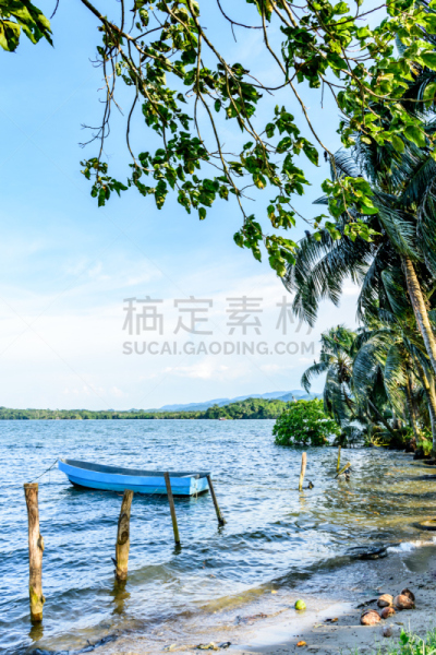海滩,船,固定的,鸡尾酒,利文斯敦,利文司顿,河口,危地马拉,棕榈叶,椰子树