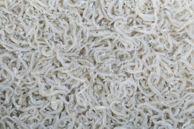 食品,日本,干燥食品,银鱼,传统,加科,煮食,水平画幅,海产,特写