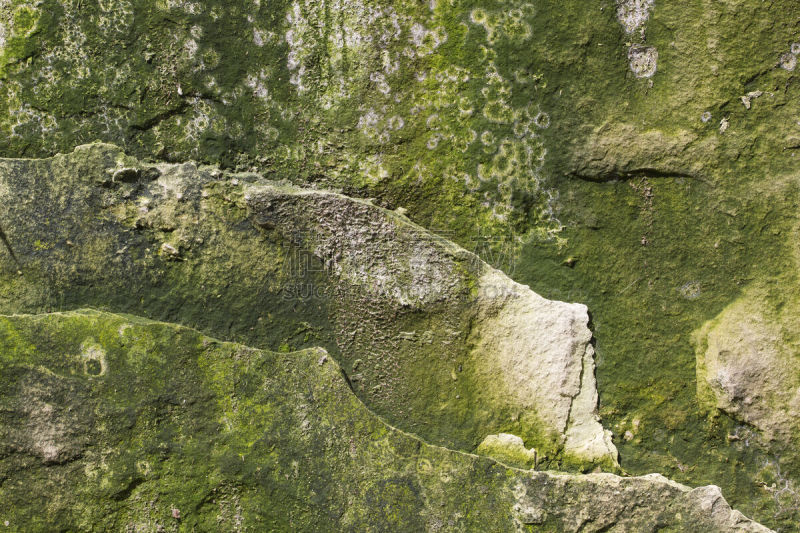 苔藓,石灰石,岩石,背景,体育界,carboniferous,石灰质的,水平画幅,风化的,墙