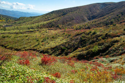 秋天,风景,叶子,自然,季节,长野县,图像,国家公园,美,日光