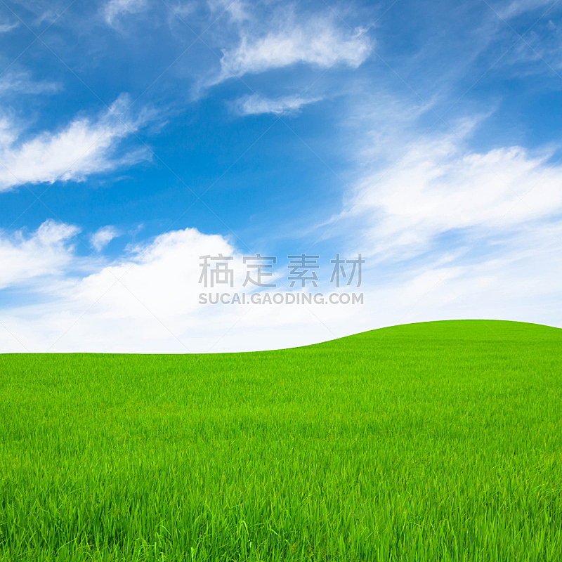 天空,田地,米,蓝色,云,夏天,户外,草,泰国,稻田