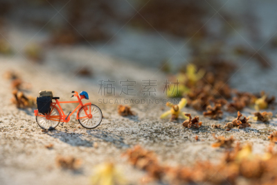 旅游目的地,小的,人,概念,伴侣,骑自行车,派克大街,水平画幅,导游