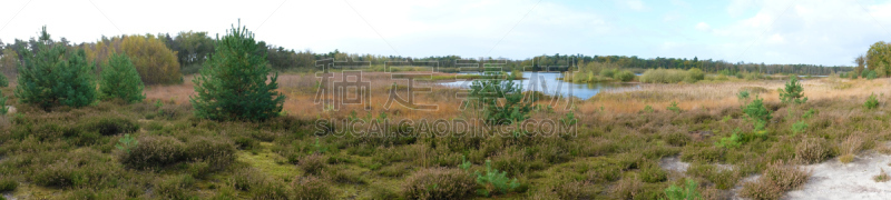 自然保护区,水,停泊的,旷野,摩尔人风格,生态保护区,重新造林,干的,湖,草
