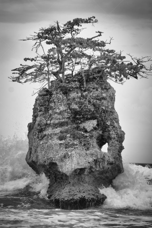 哥斯达黎加,海滩,岩石,波浪,特拉华,曼萨尼约,一只动物,里蒙省,垂直画幅,水