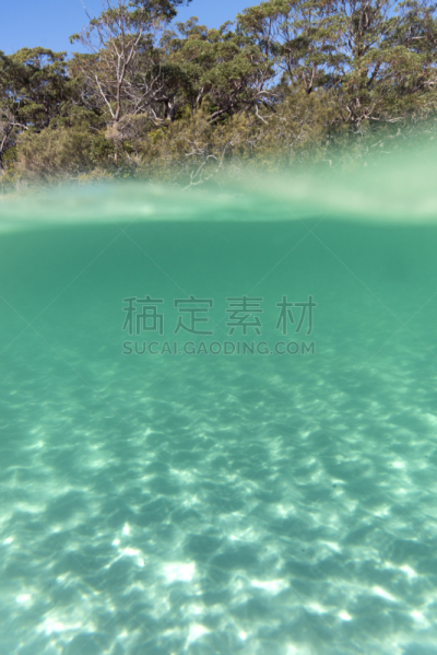 垂直画幅,水,美,新南威尔士,水肺潜水,水下,夏天,户外,光,浅的