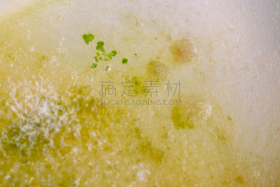背景,真菌,大群动物,藻类,个性,皮氏培养皿,生物学,微生物学,风险,显微镜