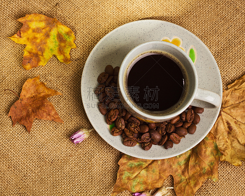 仅一朵花,咖啡杯,永远,枫叶,咖啡生豆,烤咖啡豆,褐色,水平画幅,无人,早晨