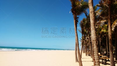 湖岸,水平画幅,沙子,无人,户外,湖,塞阿腊州,海滩,巴西,日光
