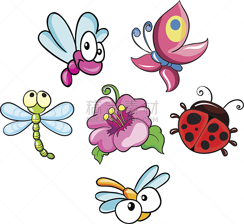 昆虫,矢量,绘画插图,白色背景,蜈蚣,蚊子,可爱的,生物学,自然,兰花
