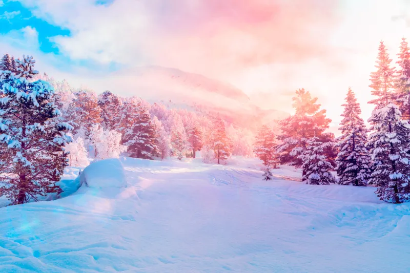 二月季节 二月季节图片 二月季节素材下载 稿定素材