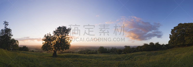 可爱的,风景,草,全景,英格兰,西南英格兰,户外,地形,田地,日落
