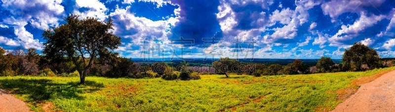 山,看风景,农业,云景,云,草,树梢,丘陵,植物,户外