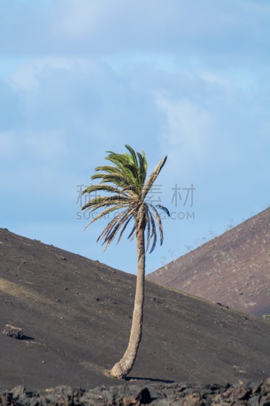 timanfaya national park,兰萨罗特岛,金丝雀,西班牙,海上航道,导游,看风景,熔岩,大西洋群岛,火山